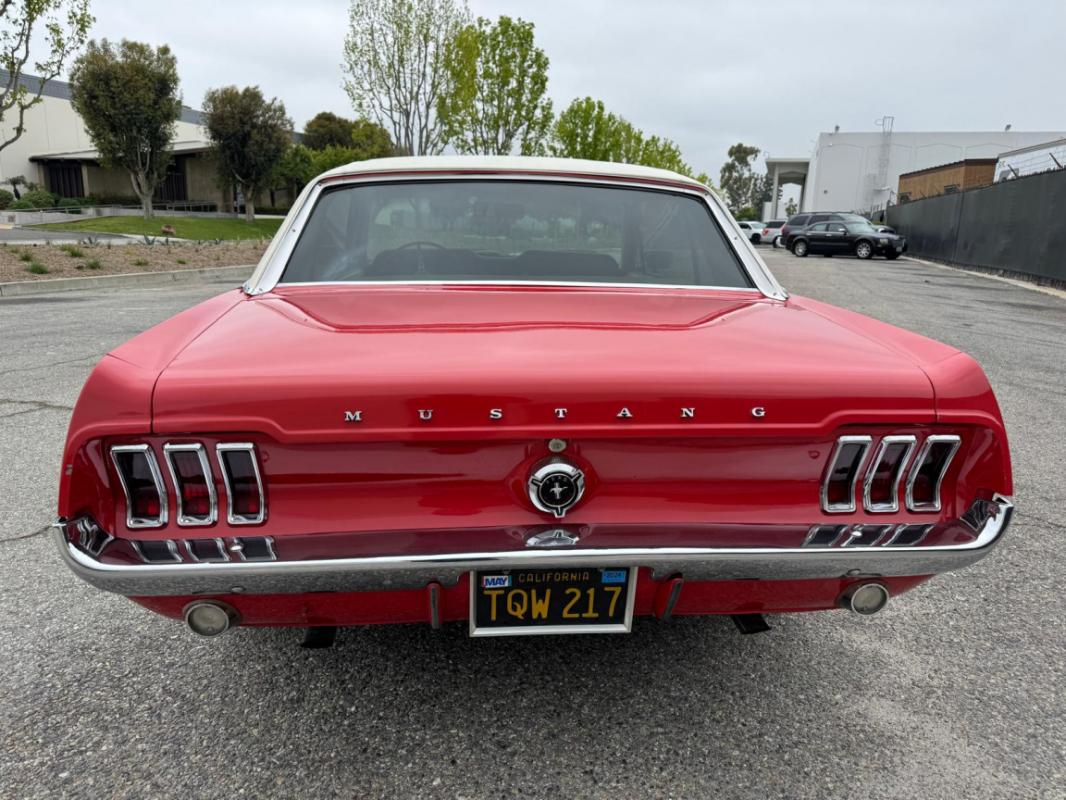 Ford Mustang - COUPE ROUGE TOIT VINYLE BLANC 289CI V8 1967